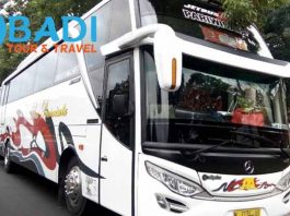 Daftar Harga Sewa Bus Pariwisata di Probolinggo Murah