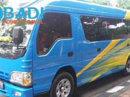 Daftar Harga Sewa Elf di Jakarta Murah Terbaru