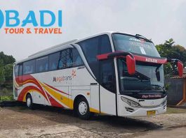 Daftar Harga Sewa Bus Pariwisata di Bogor Terbaru