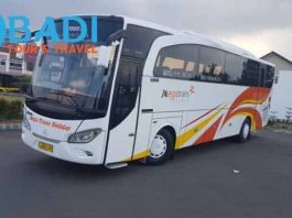 Daftar Harga Sewa Bus Pariwisata di Depok Terbaru