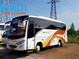 Daftar Harga Sewa Bus Pariwisata di Tangerang Terbaru