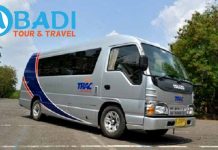 Daftar Harga Sewa Elf di Bojonegoro Pariwisata Murah Interior Terbaru Terbaik