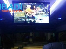 Daftar Harga Sewa Elf di Nganjuk Pariwisata Murah Interior Terbaru Terbaik